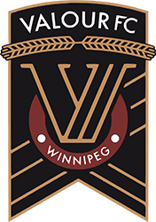 Valour logo